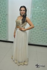 Catherine Tresa At Goutham Nanda Movie Success Meet